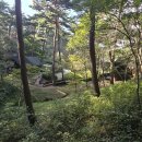 안면도자연휴양림 이미지