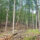 제천산림조합 이미지