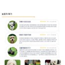 놀러오개 송파점 | 🐶 아이들의 안전을 최우선으로! 놀러오개 송파점의 든든한 보상정책 안내 💕