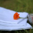 웰리스팜 이미지