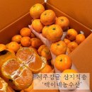 안영농장 | 제주감귤 산지직송 택이네농산물 주문 후기