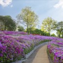 동산 Daum카페