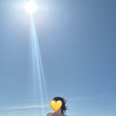영차투어 이미지