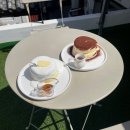 댕댕이 카페 이미지