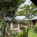 사랑나무민박 이미지