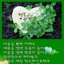 엔돌핀 이미지