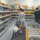 [아이스크림전문점 아이스박스] 아이스크림할인점 단골고객을 늘리는 포인트는?