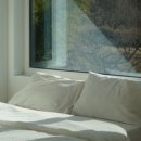 스테이무메 이미지