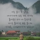 더기베이글 네이버블로그