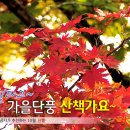 소요산 단풍축제 이미지