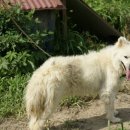 성문농장 이미지