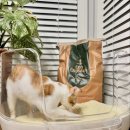 (주)오르카 이미지