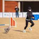 강아지테마파크 이미지