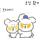 노티드 송도 현대아울렛