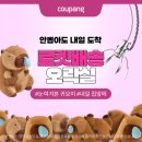 세일모터스 이미지