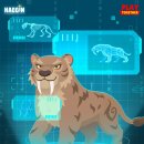 주식회사 해긴 이미지