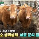 태화농장 이미지