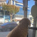 살롱드베베 이미지