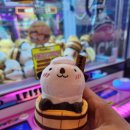 핑키펑키 전북대점 이미지