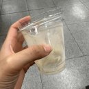주정차단속-65 이미지