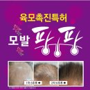 큐사랑머리염색 이미지