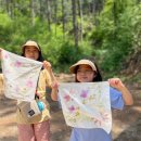 산림놀이 이미지