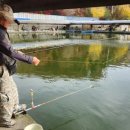 천지연낚시터 이미지