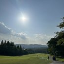 버디버디24시골프연습장 이미지