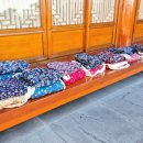 신흥팜 | 함평 팜투어 팸투어 할미 조끼에 몸뻬 바지 촌캉스 체험