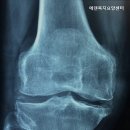 에덴복지요양센터 | 초지동요양원 에덴복지요양센터 시설과 프로그램이 우수한