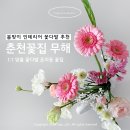 남춘천중학교 | 춘천꽃집 무해 | 온의동꽃집 춘천꽃배달 1:1 맞춤 꽃다발 추천