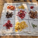 꿈나래유치원 이미지