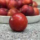 김동호 농장 | 입안 가득 상큼한 아삭함 의성 도담 자주 맛있는 자두 추천