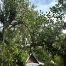 바이오벨리2로R | 새해에 발리에서 생긴일 (부제 : 이상과 현실 사이) feat. 발리벨리