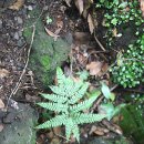 신비공원 이미지