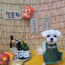 멍언니 쌀롱 이미지