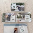 피앙세가구 | 피앙세포토 아크릴액자 웨딩사진 후기, 왜 신혼집 필수템인지 알려줌