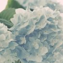 하이미즈한의원 이미지