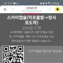 호호다실 이미지