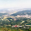 현충원로(유성-19) 네이버블로그
