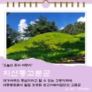 고령 가볼만한 지산동 고분군 유네스코 입장료 주차장