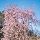 거창군남상면임불보건진료소 이미지