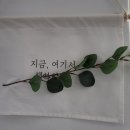 헬프119 이미지