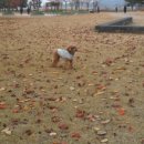 메디컬허브 네이버블로그