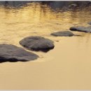 두드리네 이미지