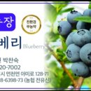 보미농장 이미지