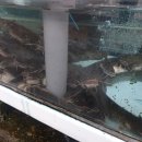 sk청평주유소 이미지