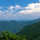 황지자유시장 코스 이미지