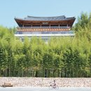 송화목재 이미지