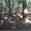 후미2리 이미지